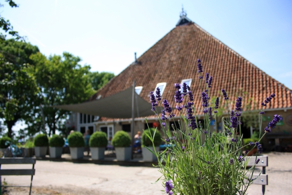 Hotel WeidumerHout